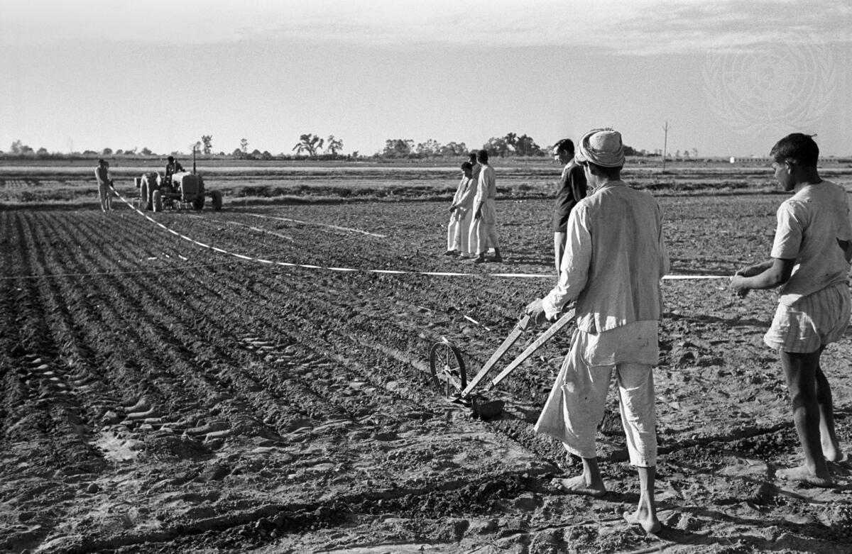 Black-and-white archival photograph of workers and a tractor preparing seed beds at Pantnagar experimental farm in 1969.